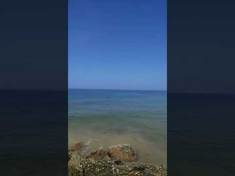 #sea #vibes #youtubeshorts #youtube #trending #shorts
