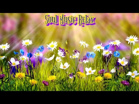 Open Heart Music Edgar Tuniyants