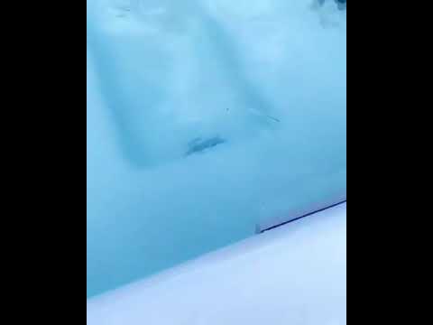 Farid Bang - (Hörprobe)