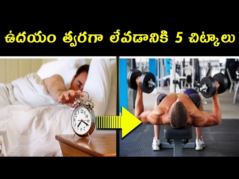 ఉదయం త్వరగా లేవడానికి 5 చిట్కాలు - how to wake up early in the morning