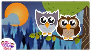 Download lagu Burung Hantu - Lagu Anak Indonesia | Oli Ola Kids mp3 Download lagu Burung Hantu - Lagu Anak Indonesia | Oli Ola Kids mp3