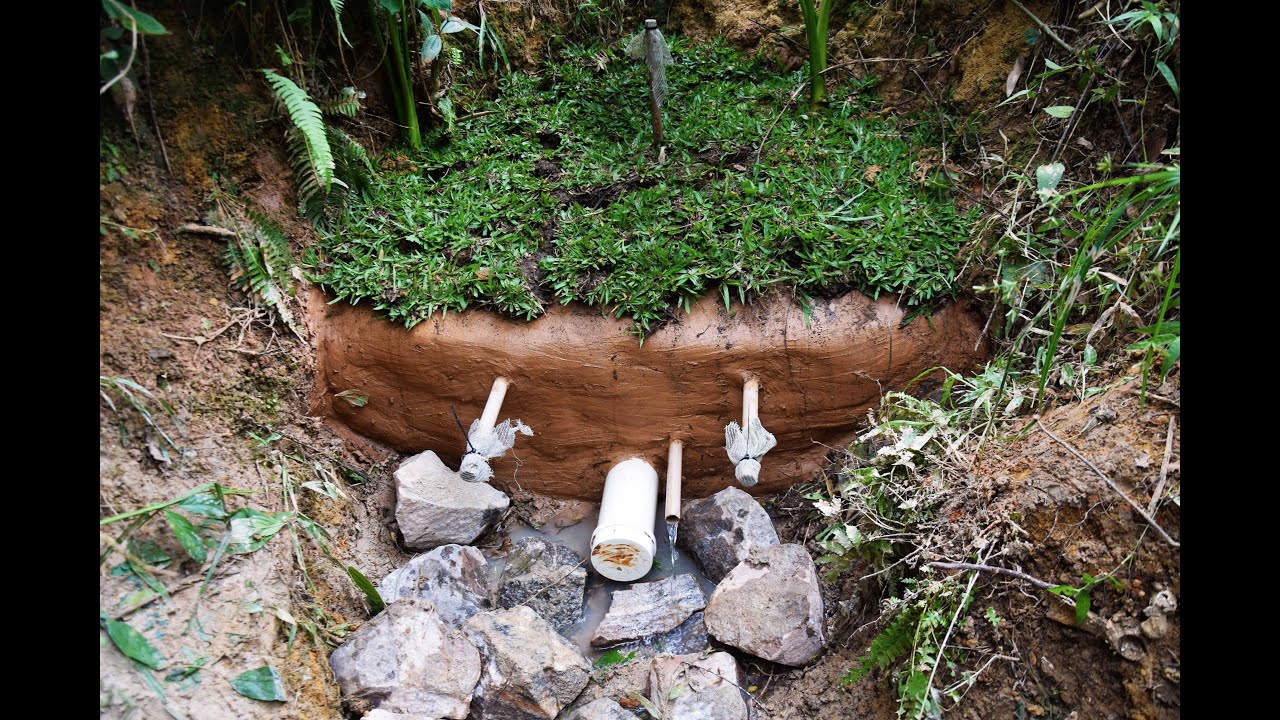 Dia Mundial da Água - Como preservar as nascentes?
