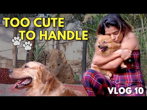 PAWSOME DAY OUT | VLOG 10