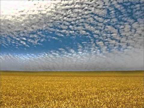 Katarina Kalmar-Chodi dievca po strnisku