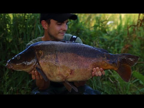 **River Carp Fishing** SCOPERS: Tidal River Highlights 2019