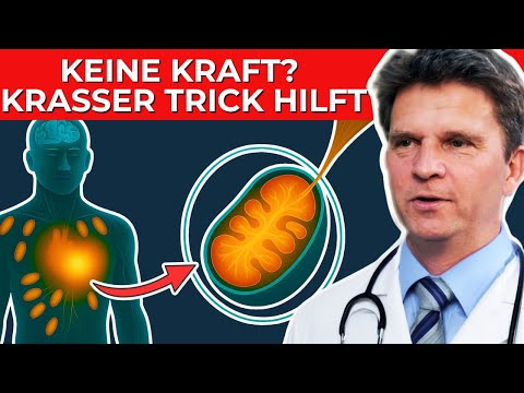 Mitochondrien-Boost: Nimm nur DAS und sie reparieren sich von alleine