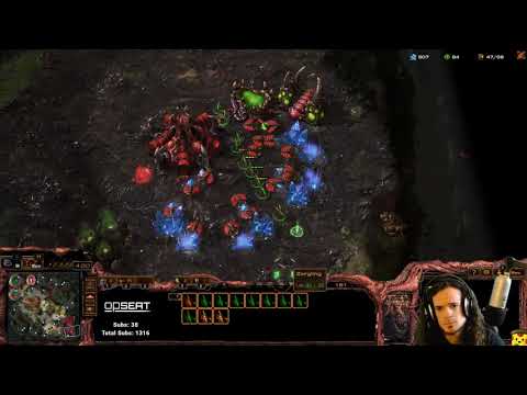 Reading and Defending Nydus with LingBaneMuta