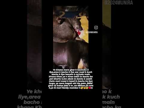 my family member ,bejuban bache meri jaan h😘🦮♥️hme n dance nhi ata,inke pet k liye krte h.😘😼