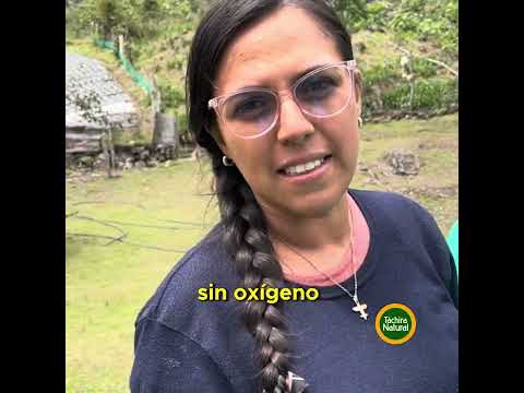Finca agroturistica de cuatro generaciones. Táchira. Venezuela 🇻🇪