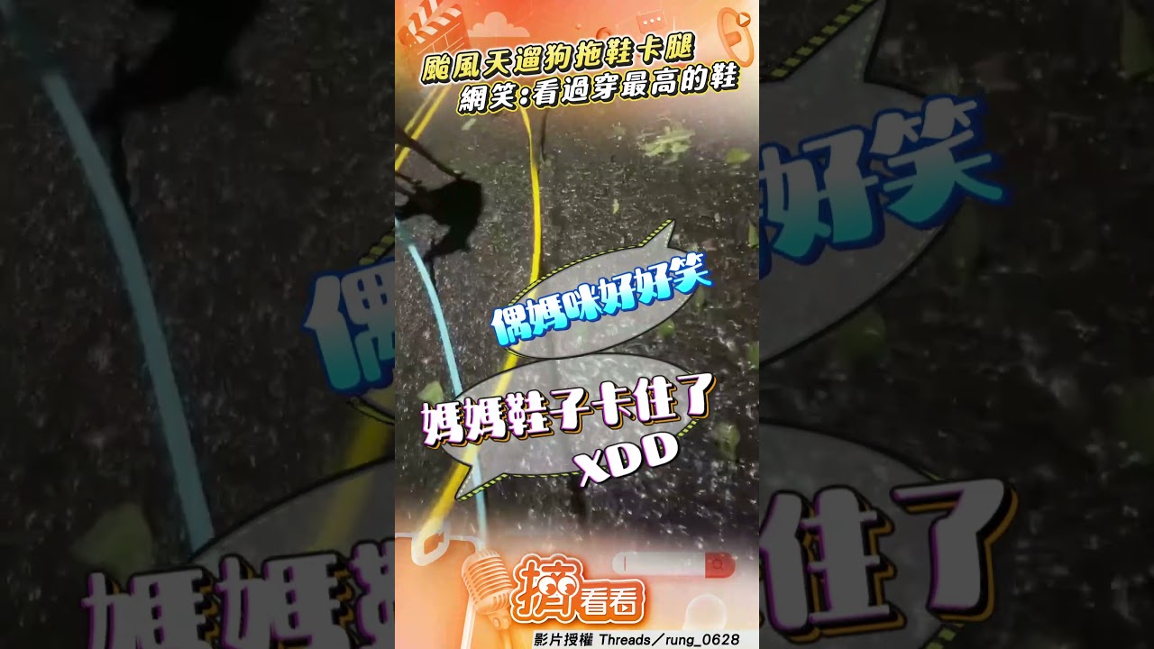 影音/媽颱風天遛比特犬「拖鞋卡小腿」糗爆 「拔超久」網笑翻:看過穿最高的