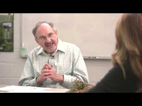 2024 Shorter Rotation Alfalfa Short Rotation