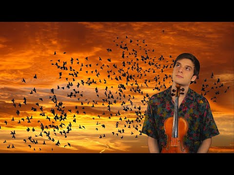 Arrival of The Birds 🦜