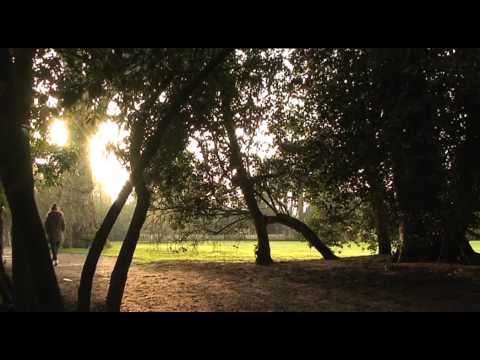 The Clearing - Short Film