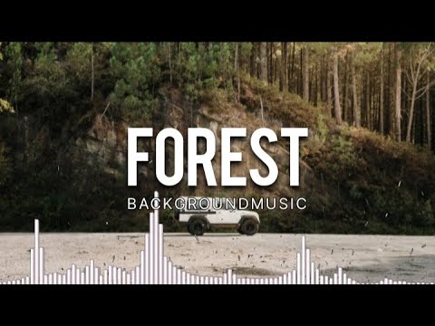 Epic Background Music - Magical Forest ( No Copyright Music )