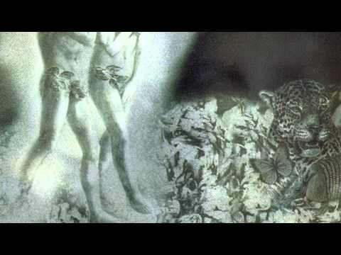 Steve Hackett - Please Don't Touch suite