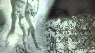 Steve Hackett - Please Don't Touch suite