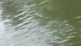 preview picture of video 'Winthrop Flood | Winthrop Ma Flood | Winthrop Ma | 02152'
