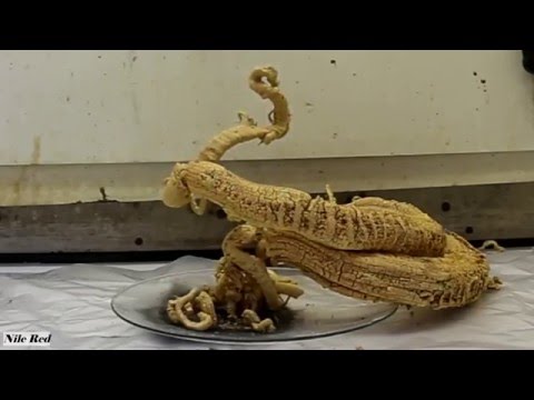 Zapping ➜ MOIS D'AVRIL #EssayezDeNePasRire