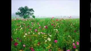 Dias y flores - Silvio Rodriguez