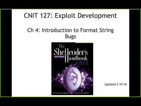 CNIT 127 Ch 4: Introduction to format string bugs