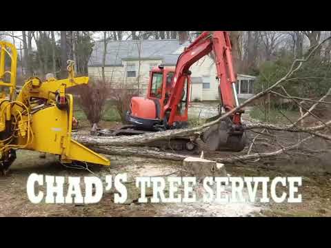 Chad’s Tree Service, All American