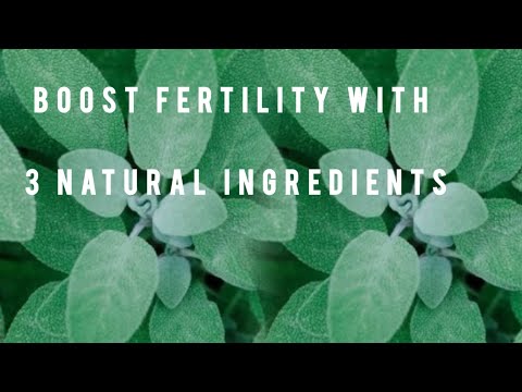Natural Remedy for High Prolactin Levels | Boost Fertility & Hormonal Balance Naturally