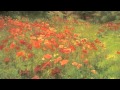 ( Alberto Lupo ) - Love Story 