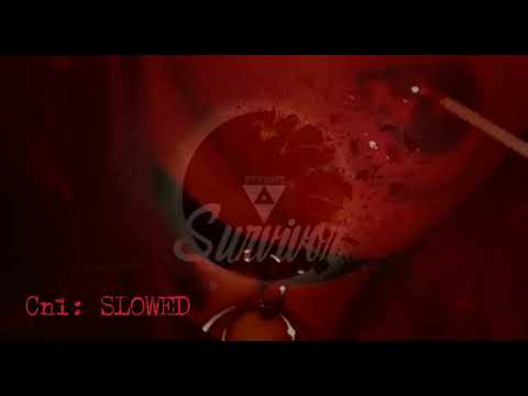 Survivor(Slowed/remix)