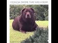 That Boy Thick