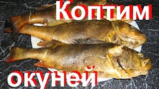 Как закоптить окуня в коптильне горячего копчения