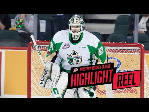 2017-18 HIGHLIGHT REEL | Ian Scott