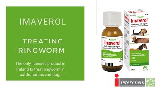 Demonstration on how to treat ringworm with Imaverol