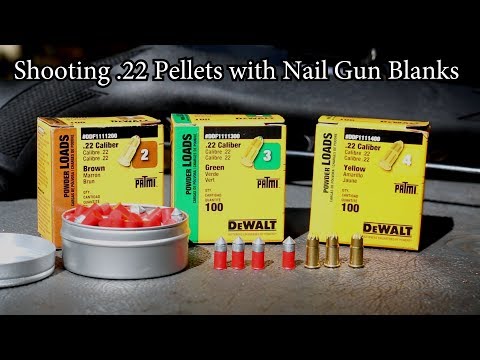 Shooting 22 Pellets with Nail Gun Blanks