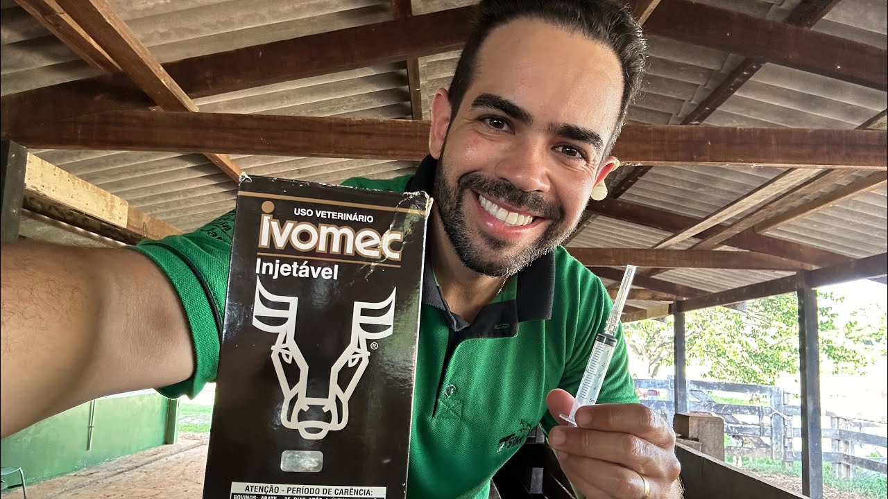 Como Aplicar IVOMEC No Gado? Te Explico Como Uso Nos Meus Animais E Todos Os Detalhes Desse Remédio!