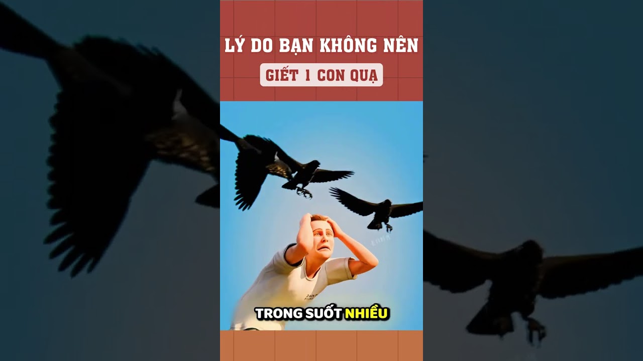 Lý do bạn không nên giết 1 con quạ