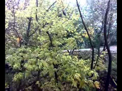 paraul suhurlui by grasuu xxl