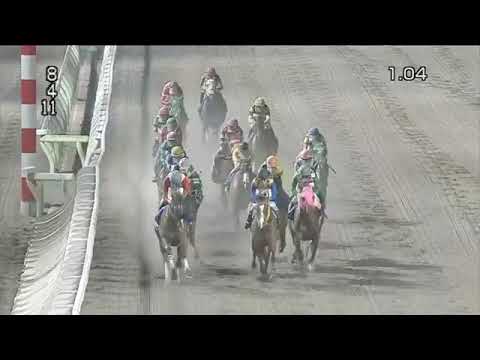 2020.04.28 Tokyo Princess Sho (JPN) - Aqua Libre