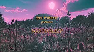 Wet Parsnip - I Go To Sleep (Cher Cover)