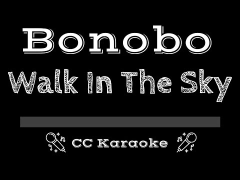 Bonobo • Walk In The Sky (CC) [Karaoke Instrumental Lyrics]