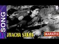 गीत रुणझुणत्या पाखरां जारे माझा माहे�