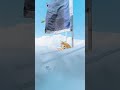 channel