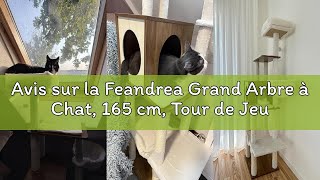 Avis sur la Feandrea Grand Arbre à Chat, 165 cm, Tour de Jeux pour Chats, Multi-Niveaux, avec Grotte