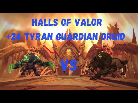 Guardian Druid M+ 24 Halls of Valor | Tyran Bolster Volcanic | 1v1 Bear vs Wolf