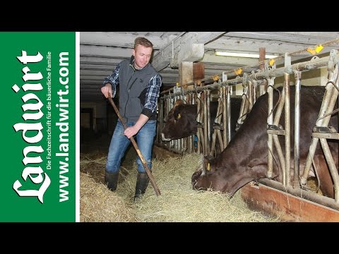, title : 'Trockensteher richtig füttern | landwirt.com'