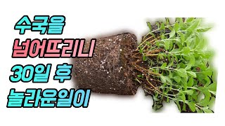 가장 현실적인 아파트 베란다 