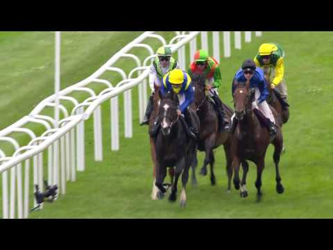 Zweiter Renntag - pferdewetten.de großer Hansa-Preis