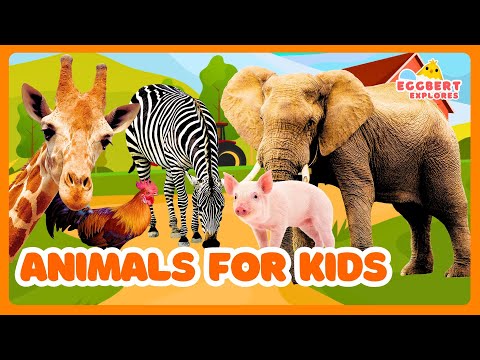 Animals for Kids – Learn Jungle, Farm, Ocean & Safari Animal Noises!