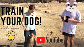Training your Dog ft. Dog Trainer and Veterinarian - Part One