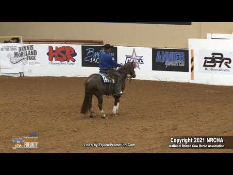 Lil Starlight Cat & Lance Johnston in 2021 NRCHA Snaffle Bit Futurity Open Hackamore