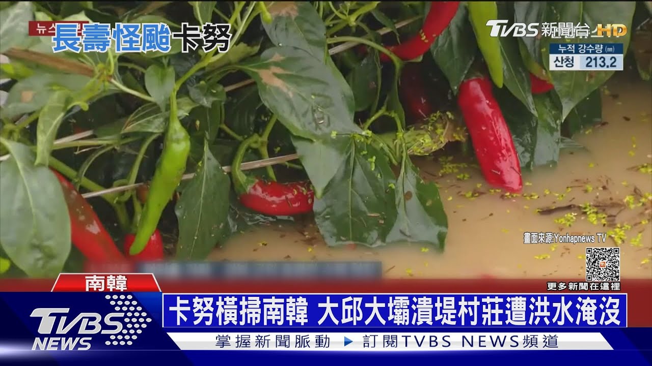 卡努前進北韓！官媒指示：民眾保護領導肖像
